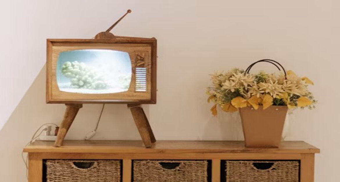 Originality in Television Shows