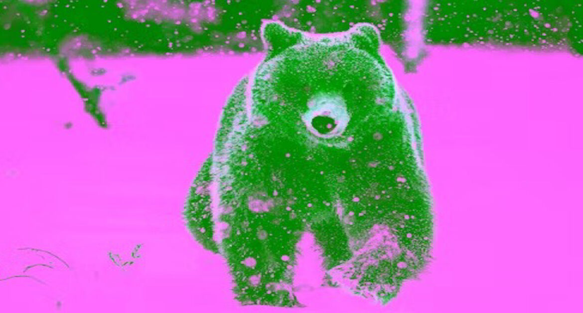 Davante Adams Takes a Swipe at the Bears