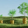 Phase 1 Environmental Site Assessment Cost