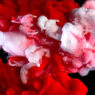 Redandwhitemagz.com