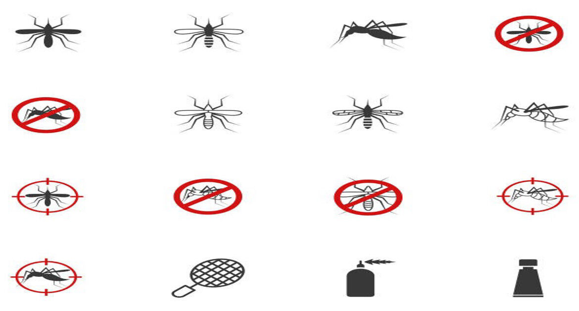 How to Get Rid of Gnats