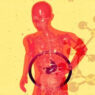 do probiotics make you poop